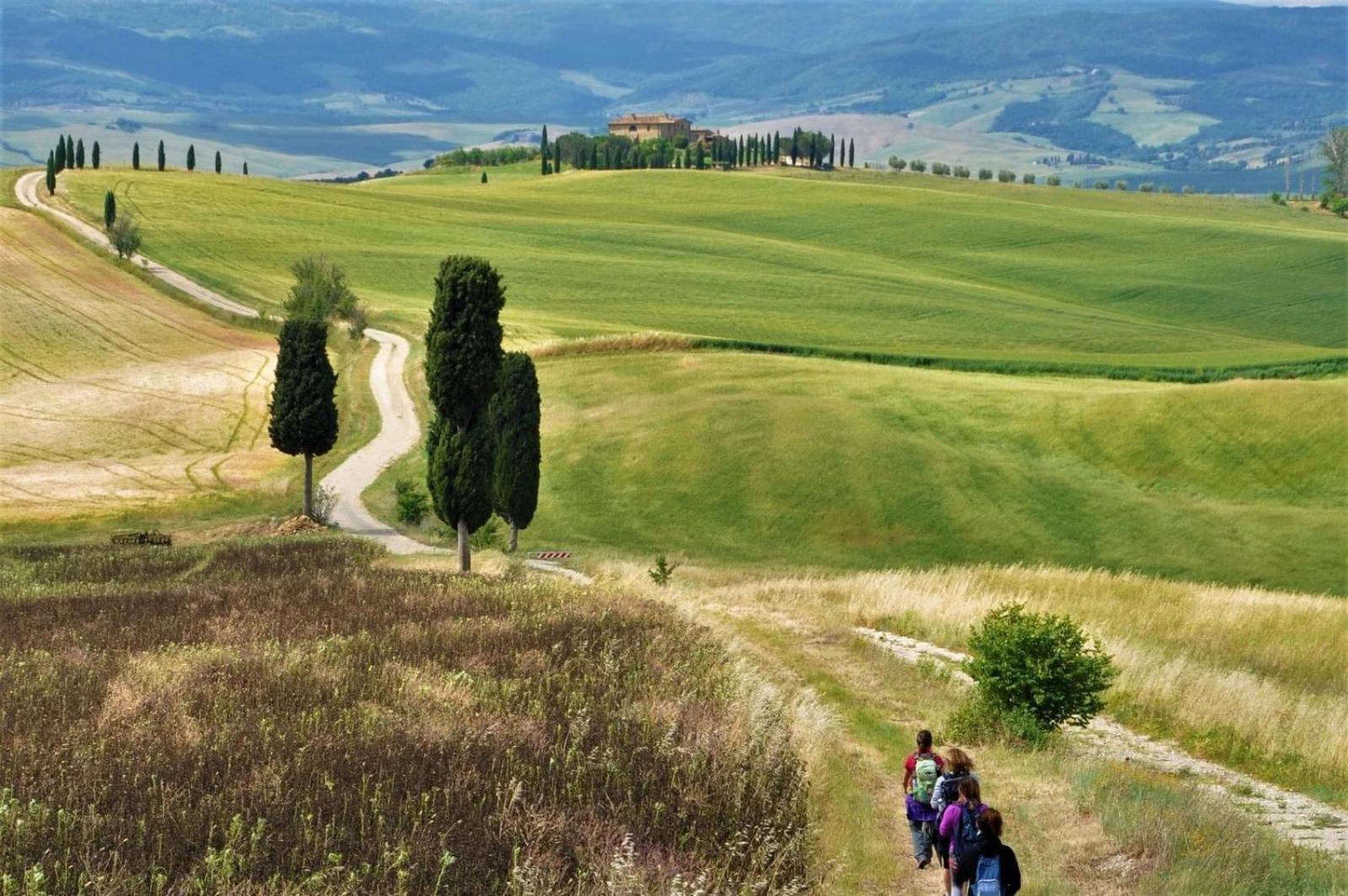 Agriturismo Le Sorbelle D'Orcia Con Piscina ピエンツァ エクステリア 写真