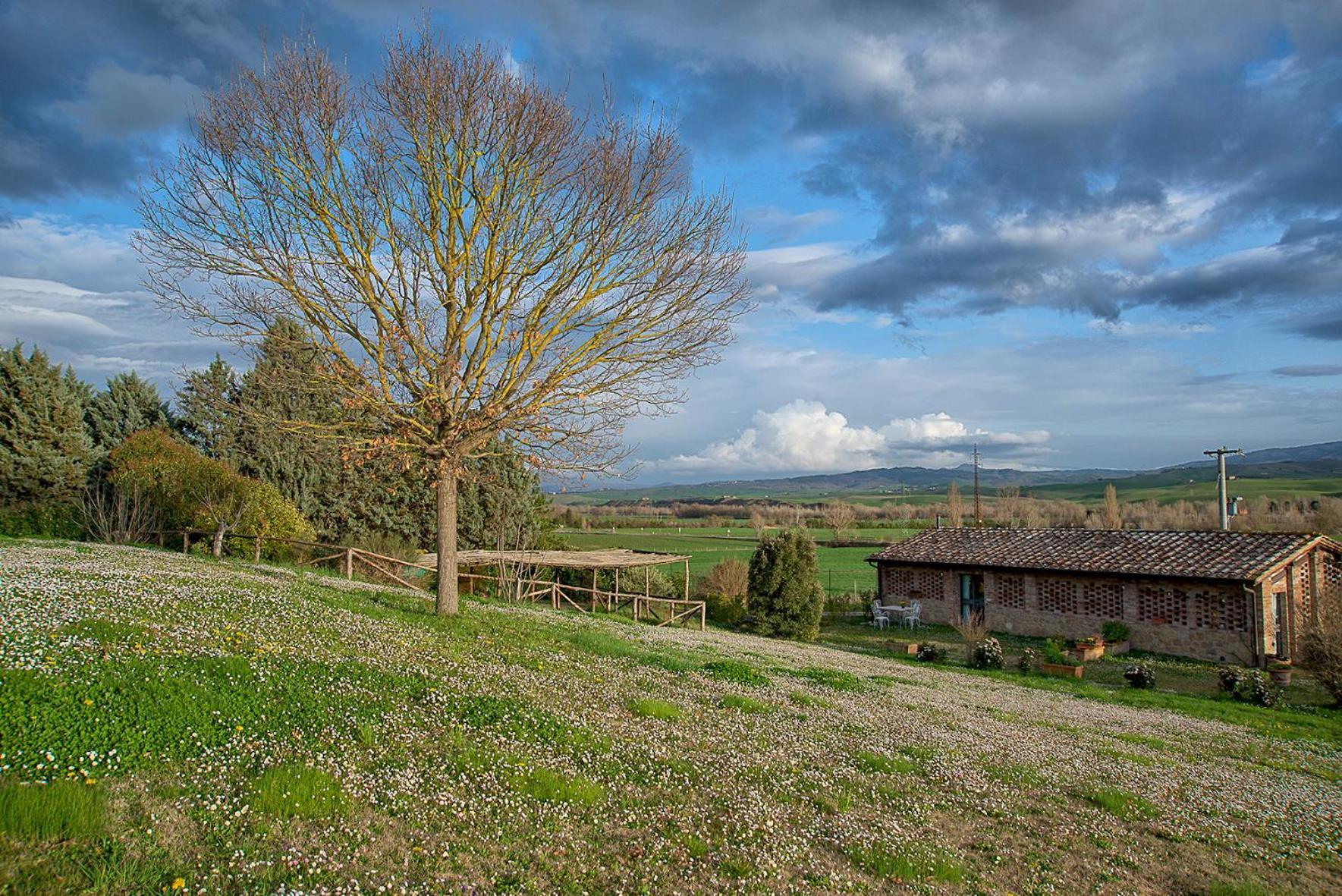 Agriturismo Le Sorbelle D'Orcia Con Piscina ピエンツァ エクステリア 写真