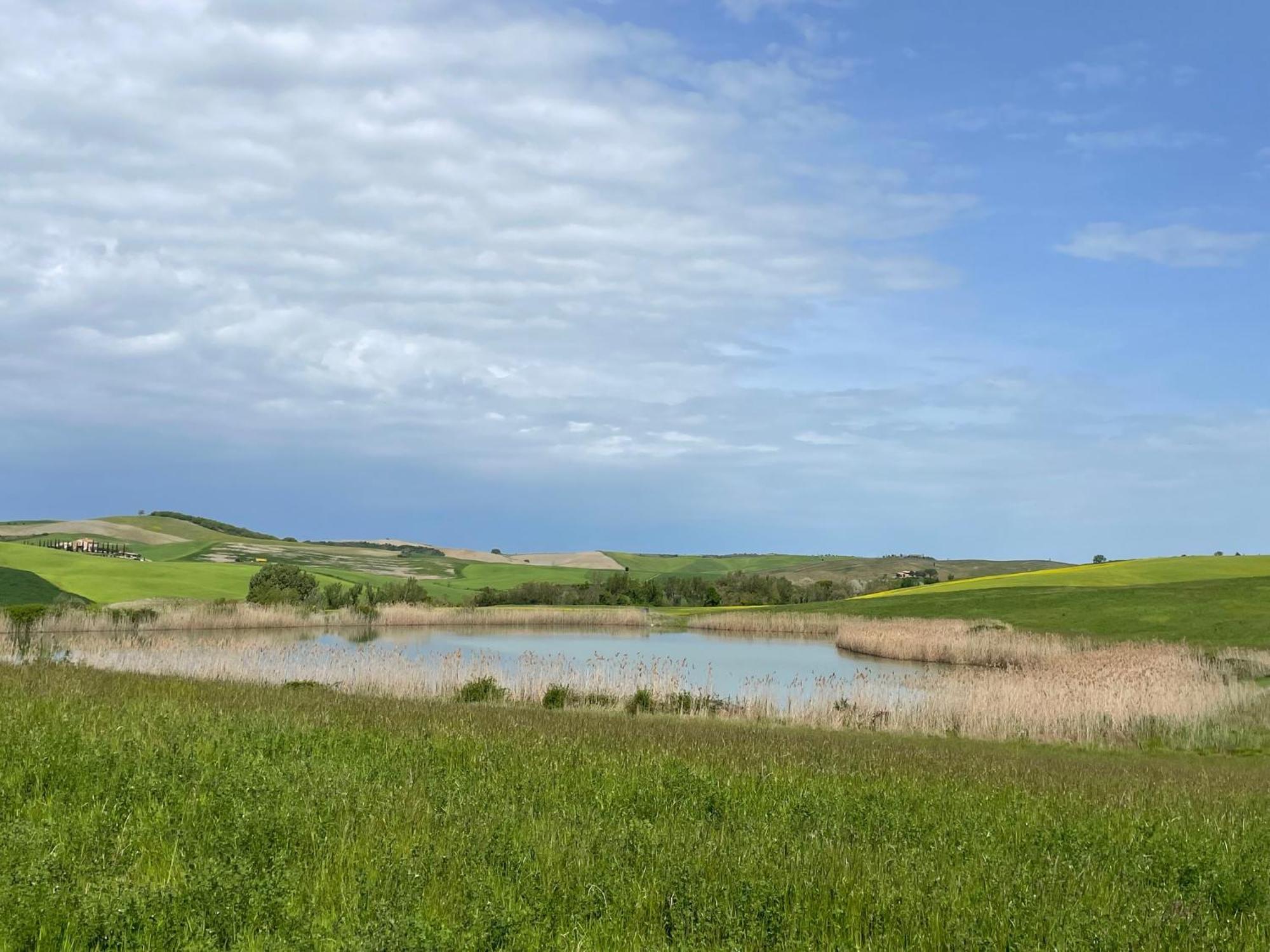 Agriturismo Le Sorbelle D'Orcia Con Piscina ピエンツァ エクステリア 写真